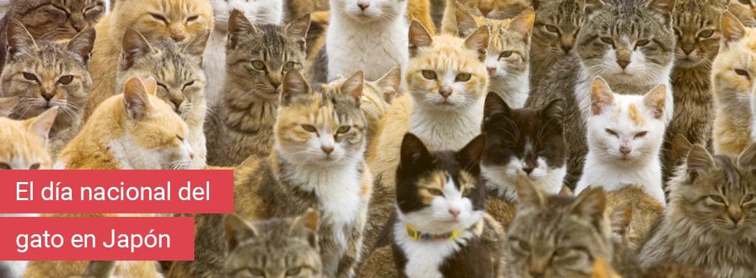 El día nacional del gato en Japón - Bazar Fantastik